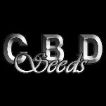 CBD Seeds
