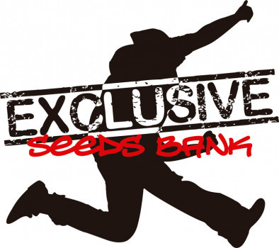 Exclusive Seeds