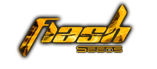 Flash Seeds