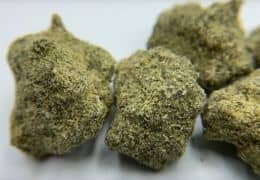 Moon Rocks: ¿qué son y qué tipos existen?